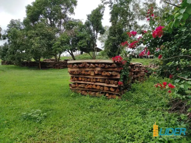 Fazenda à venda, AREA RURAL DE PERDIZES - MG - Perdizes/MG