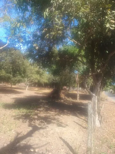 Werneck/ Paraíba do Sul