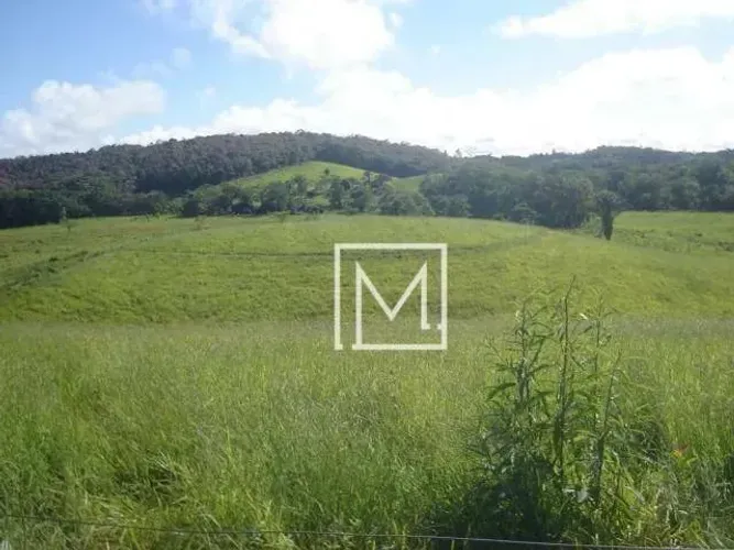 Terreno à venda, 194153 m² por R$ 11.650.000,00 - Parque Santa Rosa - Suzano/SP