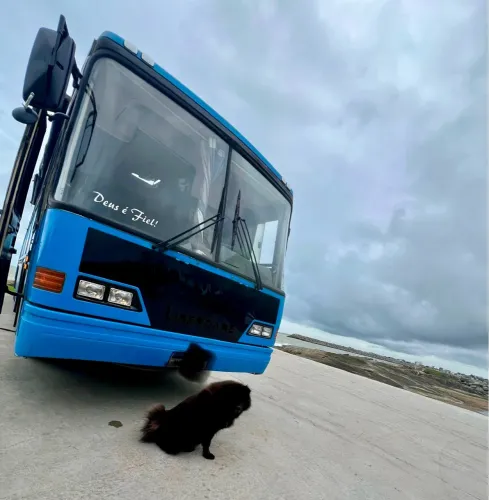 Motorhome em ótimo estado