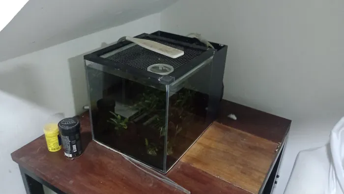 Aquário com sump traseiro 