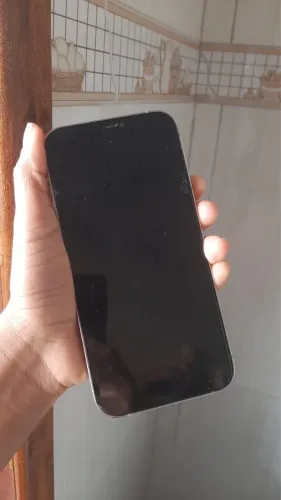 iPhone 12 Pro Max 