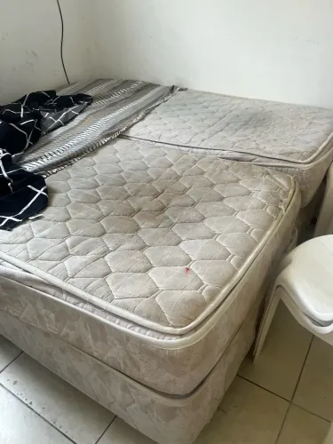 CAMA