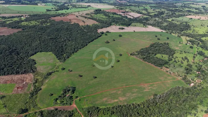 Fazenda em Bela Vista de Goiás