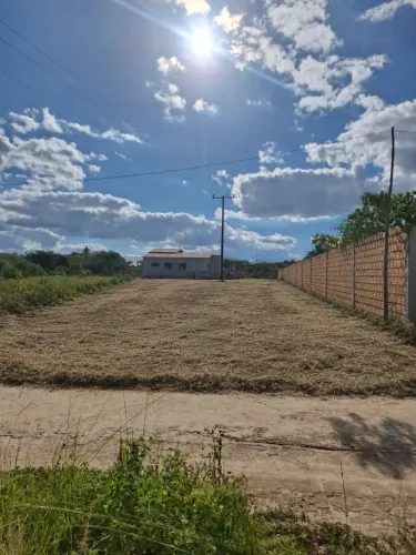 VENDO TERRENO, LOCALIZADO NO POVOADO ALTO DA ISABEL, PRÓXIMO AO BAR DO COWBOY, SERRINHA-BA