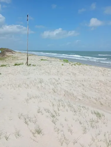 VENDA DE UMA AREA NA RAPOSA