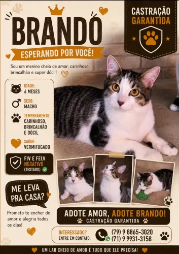 ? ADOÇÃO RESPONSÁVEL DE CÃES E GATOS RESGATADOS ?