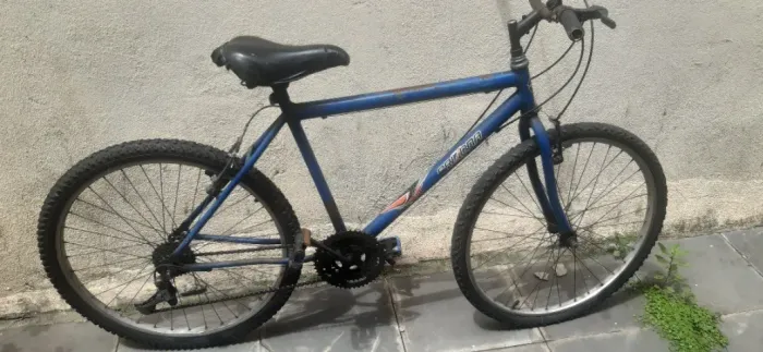 Bicicleta