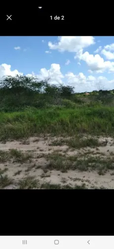 Venda