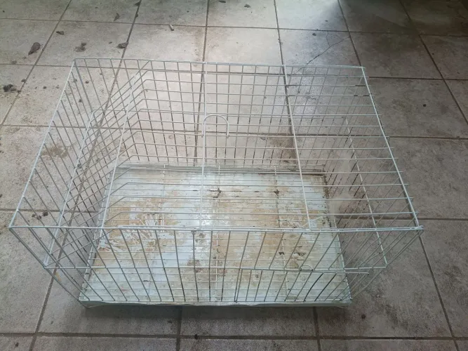 Vende-se uma gaiola pra coelho
