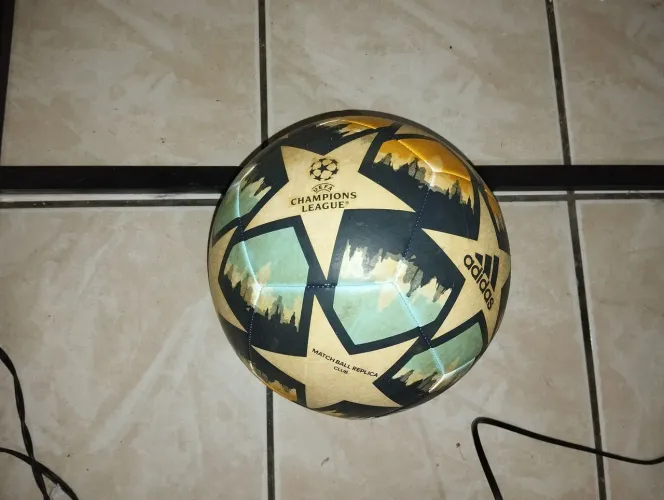 Bola de campo