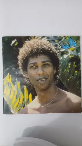 Lp djavan "meu lado" usado 