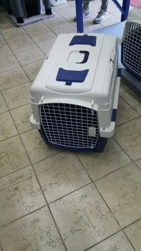 Caixa transportadora