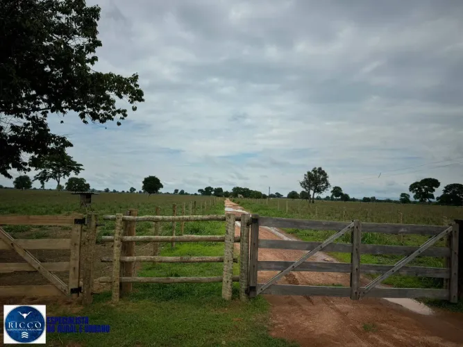 Fazenda à Venda em Aragarças  893,2 Hectares às Margens do Rio Araguaia