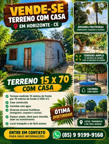 Casa + 2 terrenos + pomar + poço artesiano