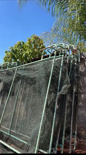 Tanque rede para criação de tilápia
