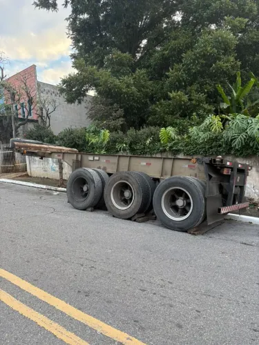 Bug porta container 20 pés