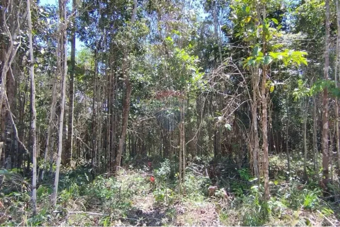 Terreno a Venda em Condomínio