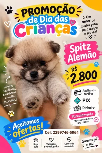 Spitz Alemão