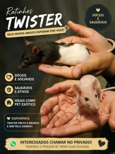 Twister disponíveis 