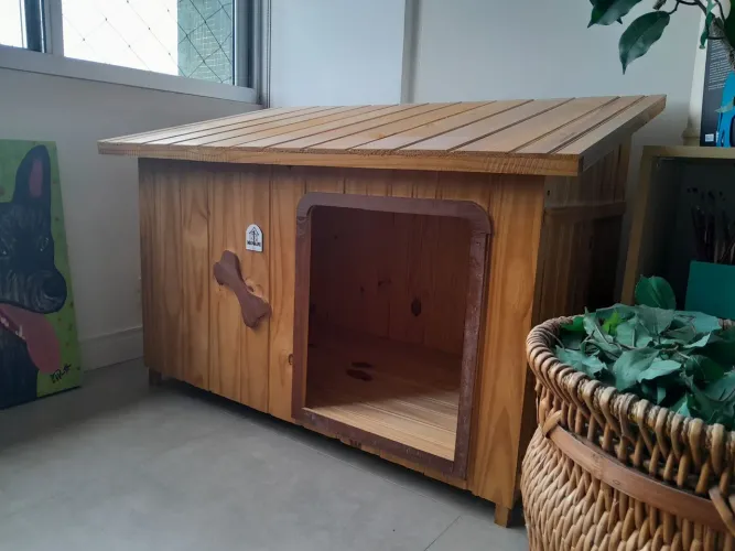 Casinha de cachorro 