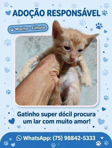 Para doação. 