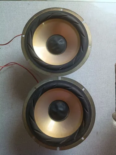 2 Auto falantes de 6 polegadas
