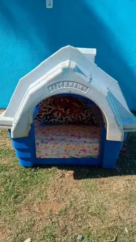 casinha cachorro