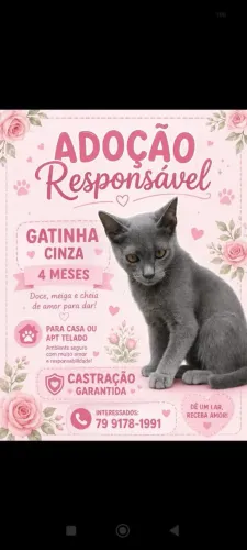 Belíssima!!!!!