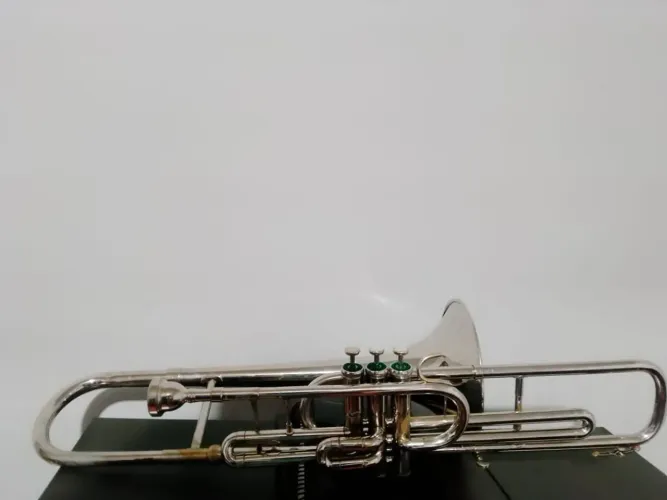 Trombone de pisto Weril