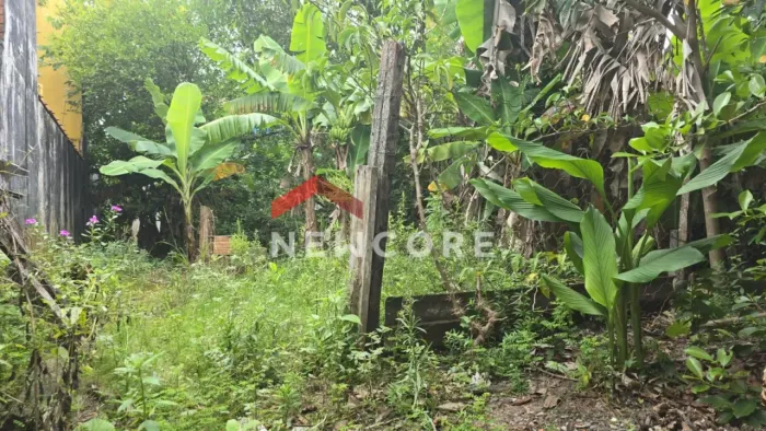 Lote em Rua Carlos Gomes - Jardim Ribamar - Peruíbe/SP