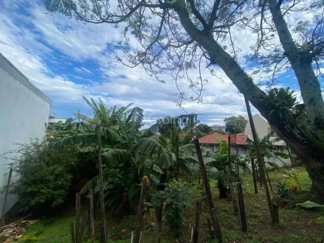 Terreno para Venda em Florianópolis, Bom Abrigo