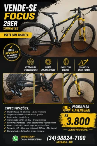 Bike Focus 29er