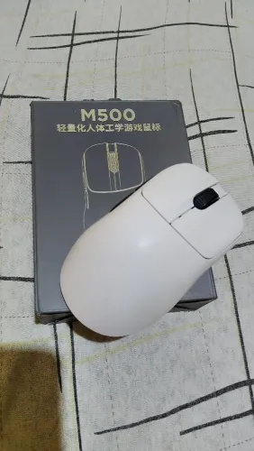 Mouse Gamer