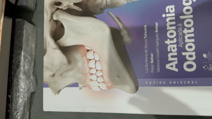 Livro de Anatomia Aplicada à Odontologia Edição Português | 3ª Edição