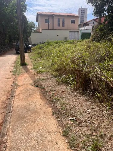 Lote no campo alegre