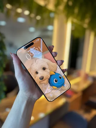 iPhone 16PROMAX