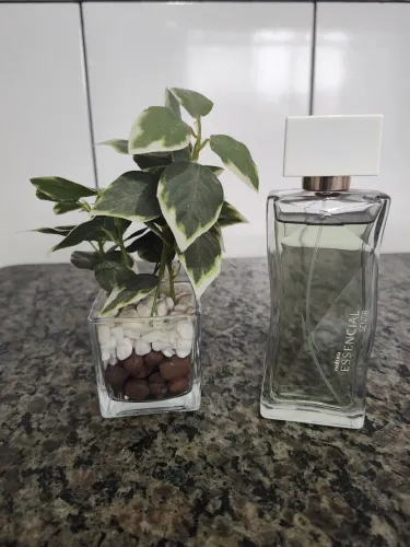 Essencial sentir - perfume