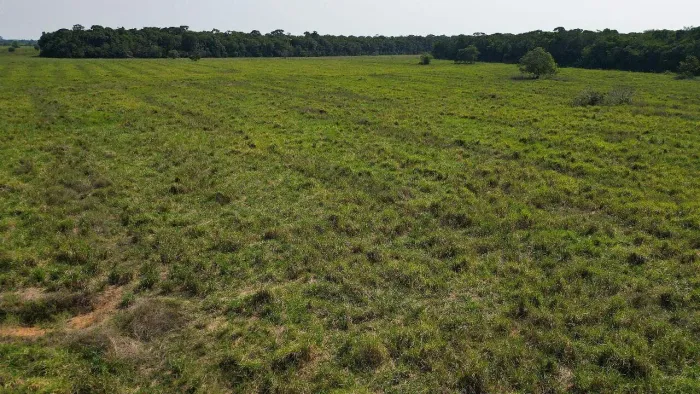 Fazenda à Venda em Porto Velho com 856 HECTARES BR 319 KM 40
