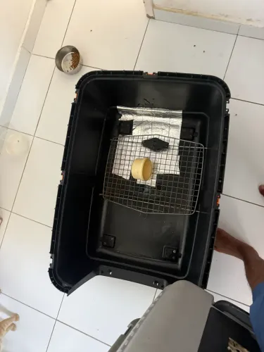 Caixa transporte