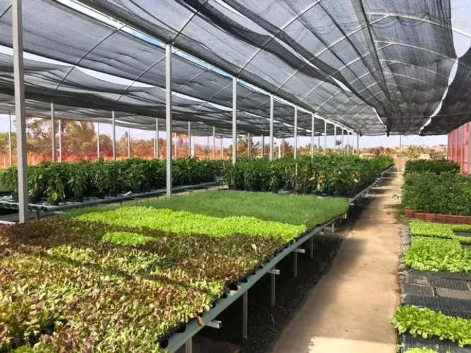 Tela De Sombreamento Agrícola 30% 4,0m X 100m Preta