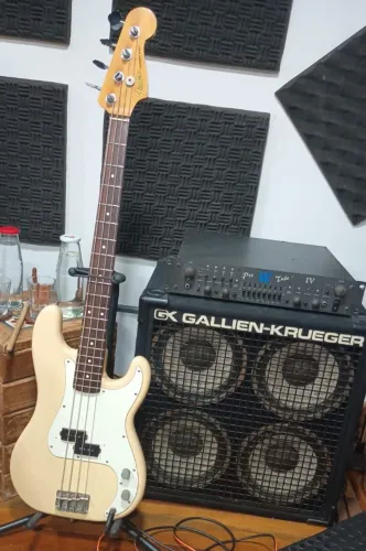 Amplificador Warwick Pro Tube IV