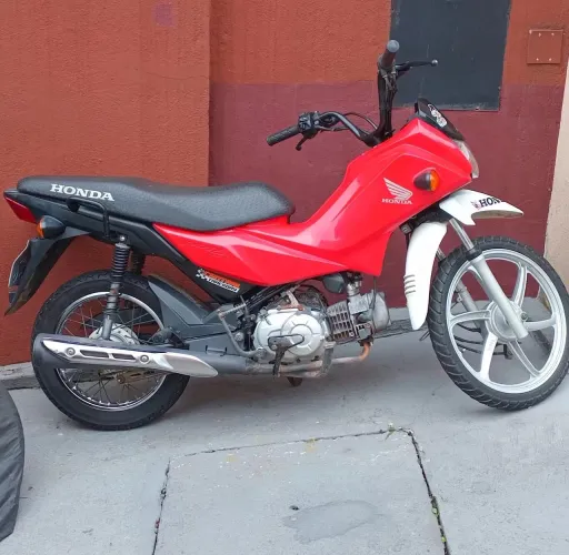 Honda Pop 2024