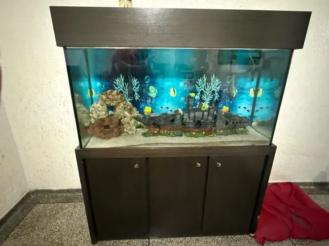Aquário água doce 310 litros
