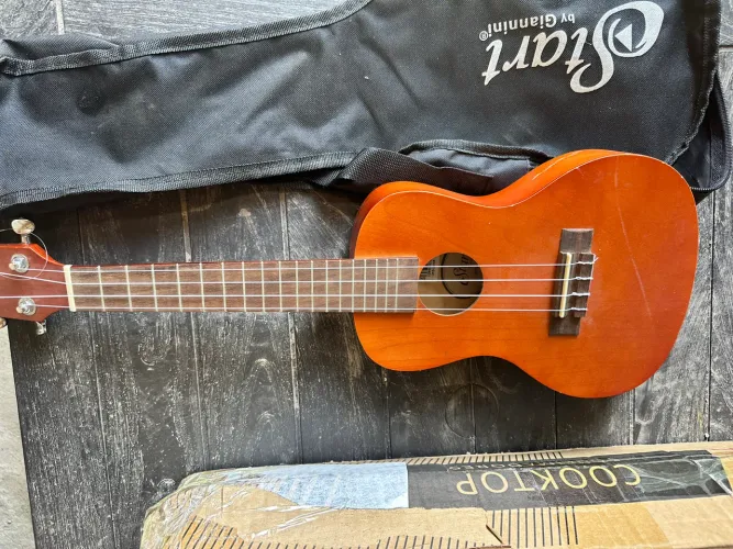 Vendo cavaquinho Giannini , novo , nunca usado