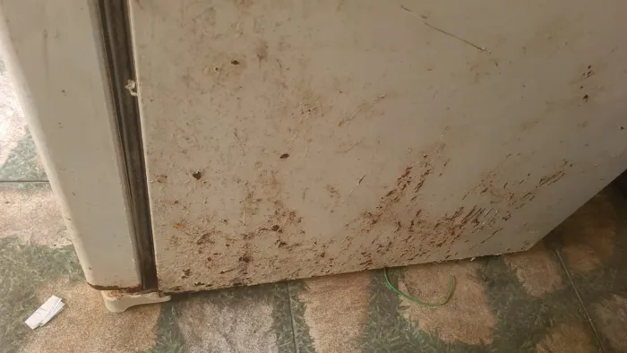 Geladeira Brastemp com defeito 