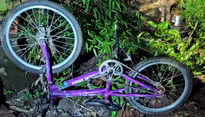 Bicicleta juvenil