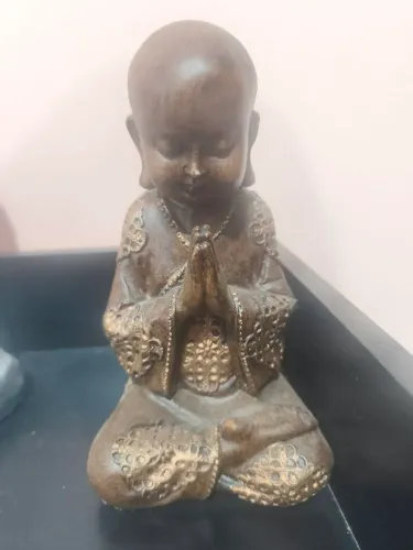 Estátua/Escultura/Imagem Buda + 5 livros