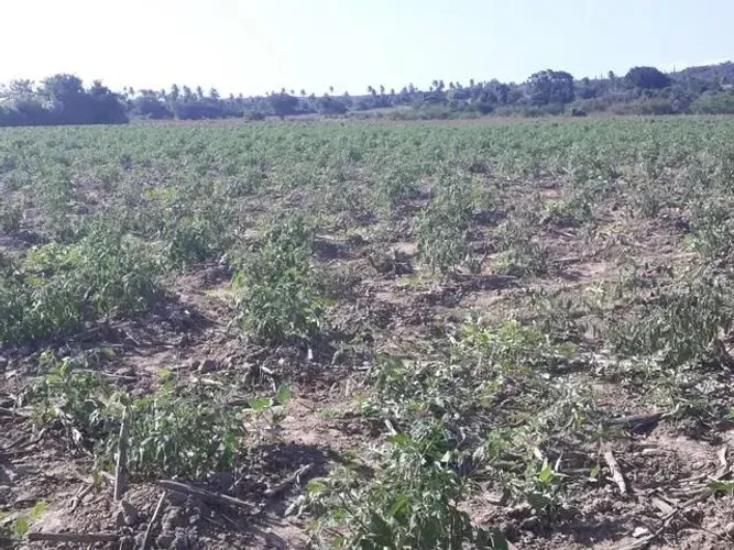 Excelente Fazenda em monte alegre com 20 hectares com o rio Trairi