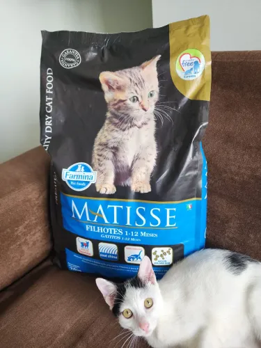 Ração Matisse Gatos Filhotes 7,5kg